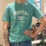 Load image into Gallery viewer, Short Sleeve Tea in Seafoam with Vintage Dragon Print

